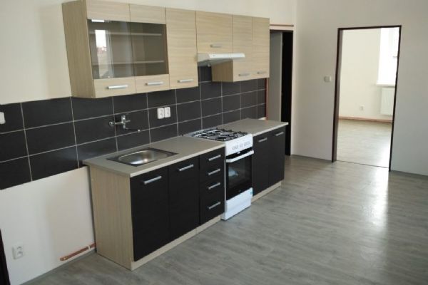 Plzeň požádá o dotaci na rekonstrukci bytů pro klienty Ledovce Plzeň požádá o dotaci na rekonstrukci bytů pro klienty Ledovce