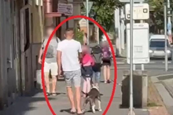 Muž v Plzni měl poštvat psa na králíka na cizí zahradě. Zvíře útok nepřežilo, pátrá po něm policie