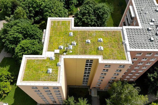 Plzeň podpoří zelené střechy až milionem korun. Zájemcům poradí odborný seminář