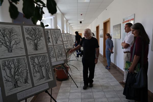 Plzeňský kraj vydal knihu o 450 památných stromech. Výstava kreseb je k vidění na krajském úřadě
