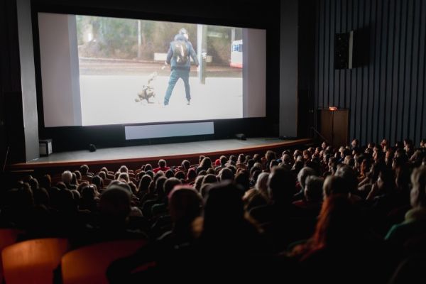 Ji.hlava 30 přiveze do Jihlavy Rushdieho dokument i filmy, které změnily svět