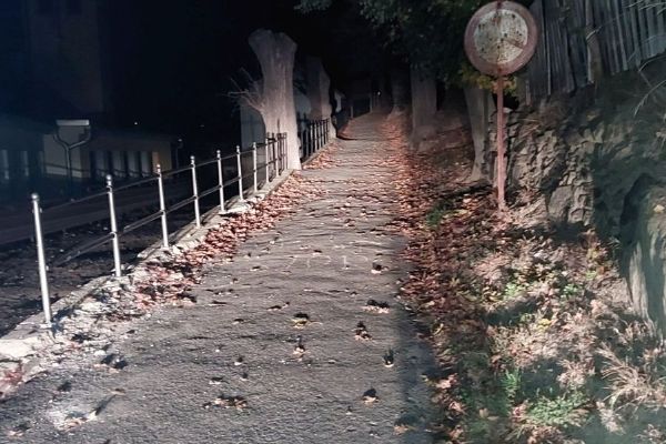 Mladistvý v Lukách nad Jihlavou čelí několika obviněním. Po jeho útoku skončil chlapec v nemocnici