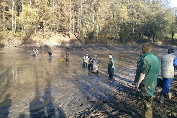 K podzimu na Vysočině patří výlov rybníků