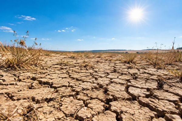 Climate Week Prague nabídne v Praze přes 50 akcí o klimatu. Začne 14. září v planetáriu