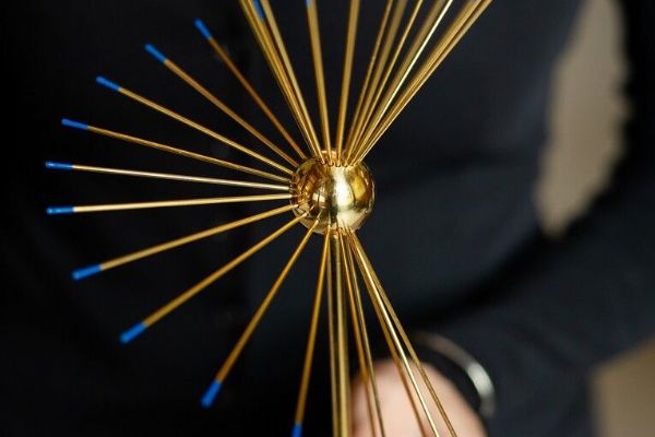 Fakulta Sutnara ovládne Finále Plzeň s filmy a ledňáčkem