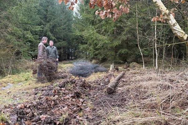 Hrozba kůrovce na Vysočině: Novela zákona pomůže od 2026