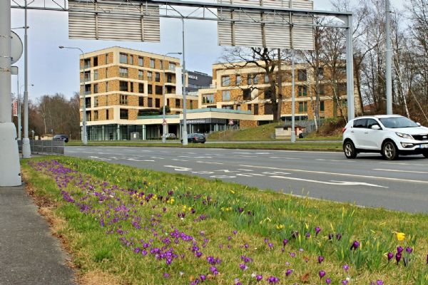 Lidická ulice uzavřena kvůli výměně asfaltu