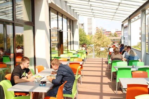 Ministerstvo škrtlo miliony na menzy. ZČU v Plzni zaplatí přes 3 miliony a obědy nezdraží