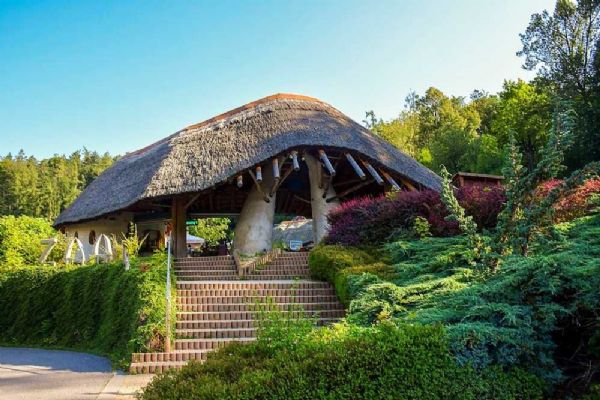 Nové ohrožené hroší mládě v jihlavské zoo se poprvé potápí a baví návštěvníky