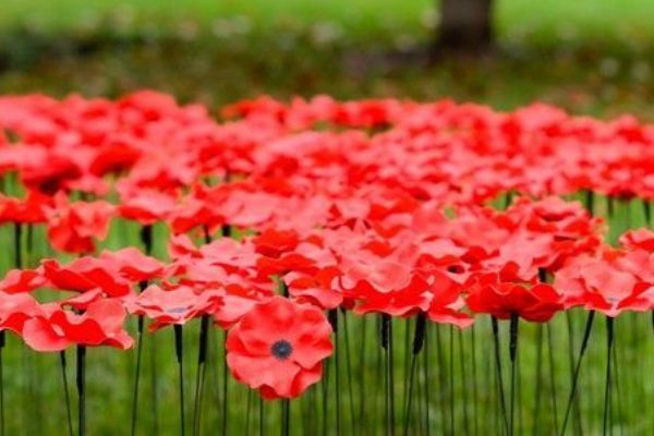 Plzeň uctila veterány pietou ve vlčím poli