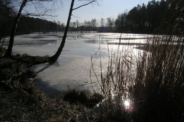 Plzeň vyčistí Malý Bolevecký rybník, bude i ke koupání