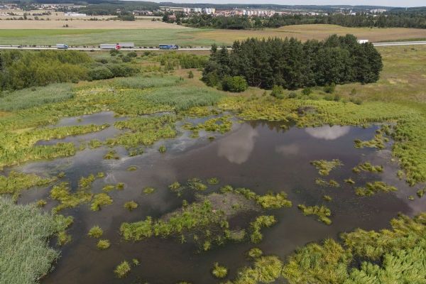 Plzeňská ZOO zahajuje kampaň Mokřady pro život