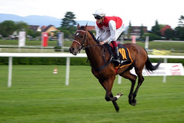  Rose utrpěl vážná zranění 