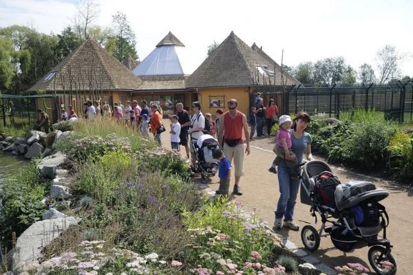 Sto let Zoo Plzeň, podívejte se na kalendář oslav a akcí pro rok 2026