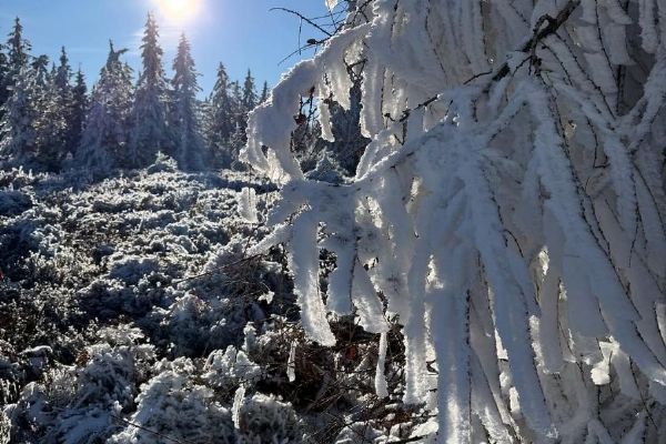 VLS varují, námraza láme stromy v okolí vojenského újezdu Hradiště