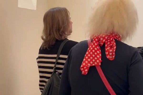 Cizinka podmíněně odsouzena za ubití psa