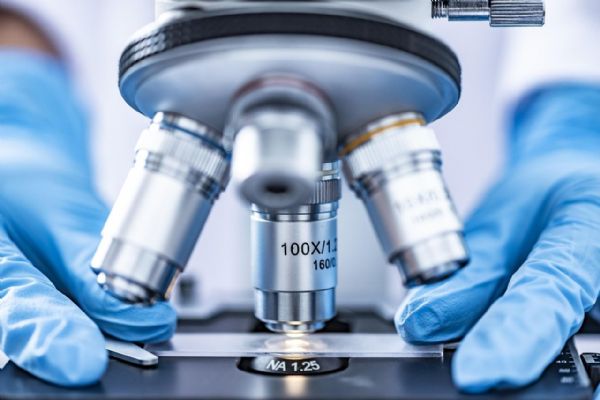 DNA odhalilo násilníka z Plzně po 11 letech