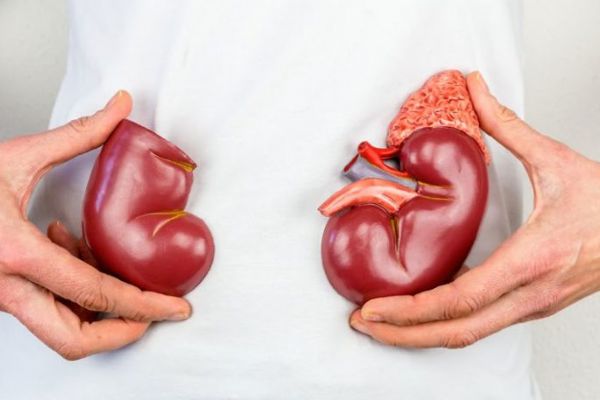 Pražský IKEM láme rekordy s 341 transplantacemi ledvin