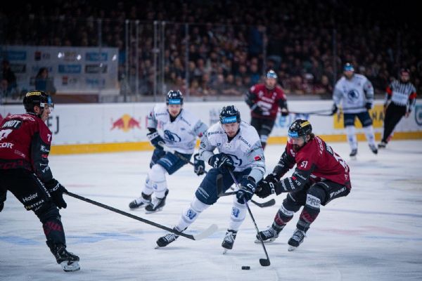 Plzeň padla na Spartě, série jde do rozhodujícího zápasu