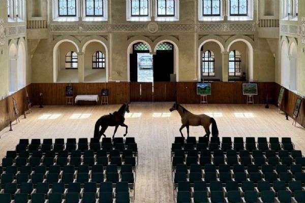 Romeo a Julie uzavřou festival ve Světcích. Jízdárnu ovládne divadlo, hudba i šerm