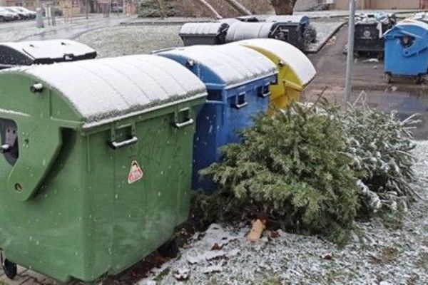 Svoz stromků v Plzni zahájen, bude probíhat celý leden