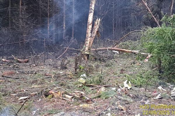 Tragédie na Plzeňsku - havarované letadlo zachvátil požár, pilot zemřel