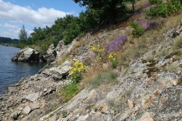 „Vysočina: Přírodní rezervace k ochraně unikátních ekosystémů a vzácných druhů“