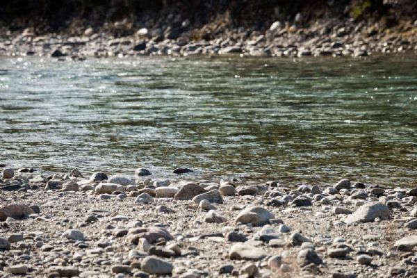 Jižní Čechy bojují se suchem: řeky i rybníky jsou hluboko pod normálem