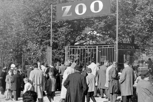 ZOO slaví 100 let, příběh party nadšenců až po světový biopark