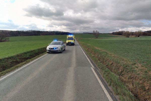 Třetí smrtelná nehoda za víkend. Audi u Horšovského Týna narazilo do stromu  Perex
