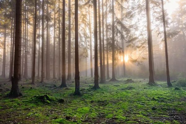 Kolik chráněné přírody má Plzeňský kraj? Patří k nejcennějším regionům v Česku