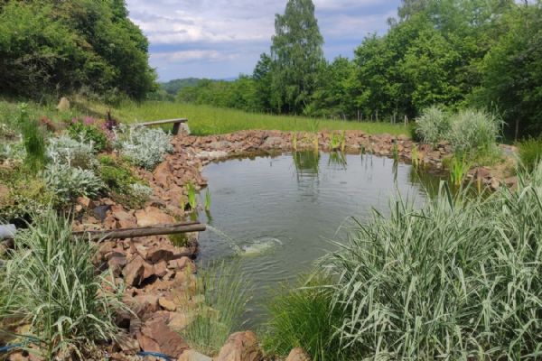 Rostoucí trend - přírodní zahrady v Česku mění krajinu