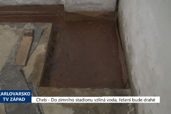 Cheb: Do zimního stadionu vzlíná voda, bude se hledat řešení (TV Západ)
