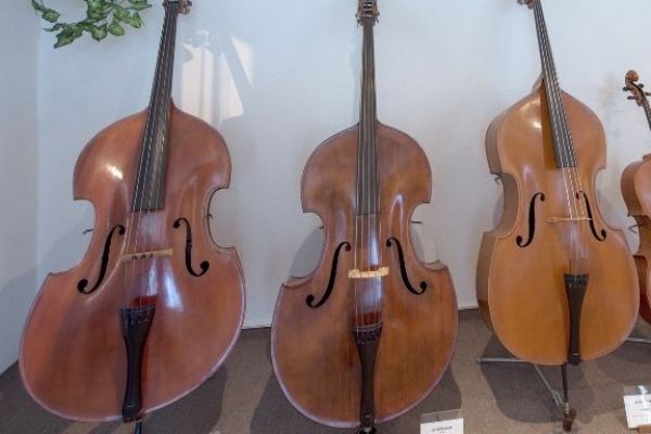 Kraj chce napomoci k zachování sbírky historických hudebních nástrojů