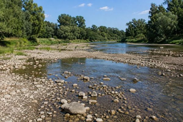 Jihočeské řeky mají na začátku srpna extrémně nízké hladiny. Potoky místy vysychají
