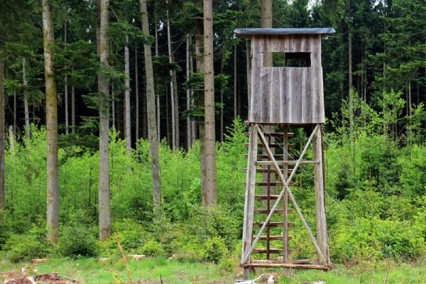 Kuriózní žaloba na starostu Kopidla skončila. Soud ho osvobodil v kauze „ukradených“ posedů