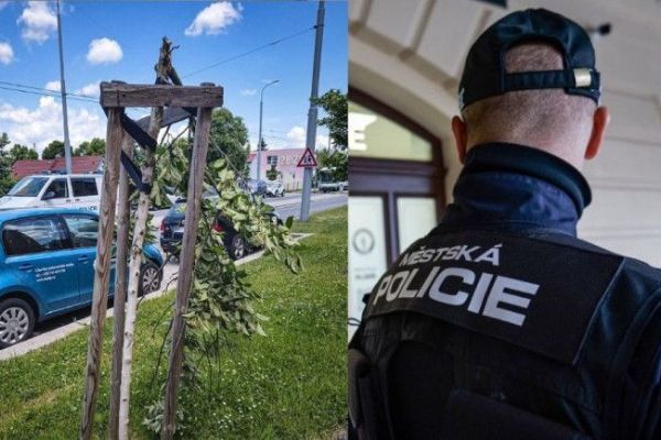 Muž v Doubravce ráno ničil stromy, skončil na záchytce