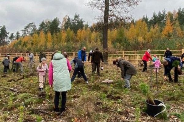 Plzeň zve na Den pro les. U Boleváku budou dobrovolníci sázet tisíce stromků