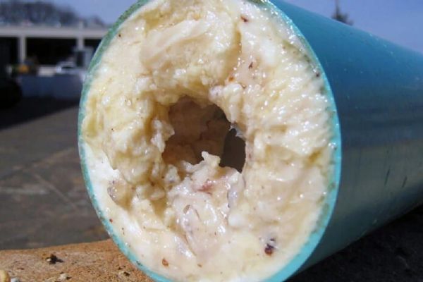 Plzeňská vodárna varuje. Olej po smažení do odpadu nepatří, může ucpat kanalizaci