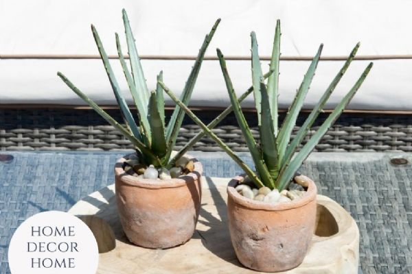 Objevte kouzlo umělých zelených rostlin z e-shopu Home Decor Home a oživte svůj domov