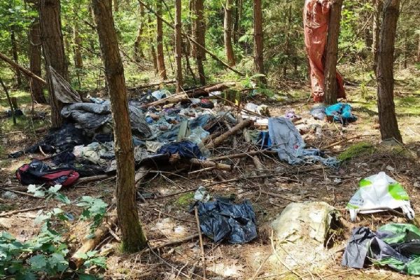 Buďte v lese ohleduplní, žádá město Plzeň Buďte v lese ohleduplní, žádá město Plzeň