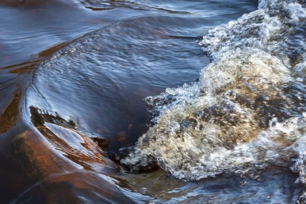 Lebka z Radbuzy patřila loni zavražděnému bezdomovci Lebka z Radbuzy patřila loni zavražděnému bezdomovci