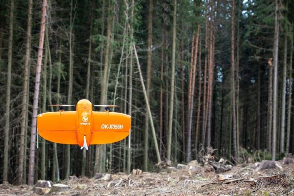 Plzeň bojuje proti kůrovci, v městských lesích pomáhají drony