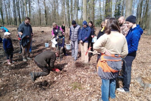 Plzeňané si mohou v sobotu vysadit svůj strom. Registrujte se Plzeňané si mohou v sobotu vysadit svůj strom. Registrujte se