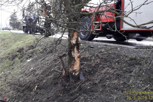 V Kozolupech řidič narazil do stromu