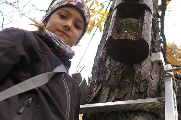 Polovinu nových hnízdních budek v centru Plzně ptáci využili   