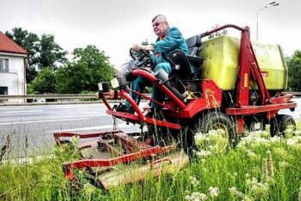 Plzeň má nová doporučení, jak se starat o trávníky