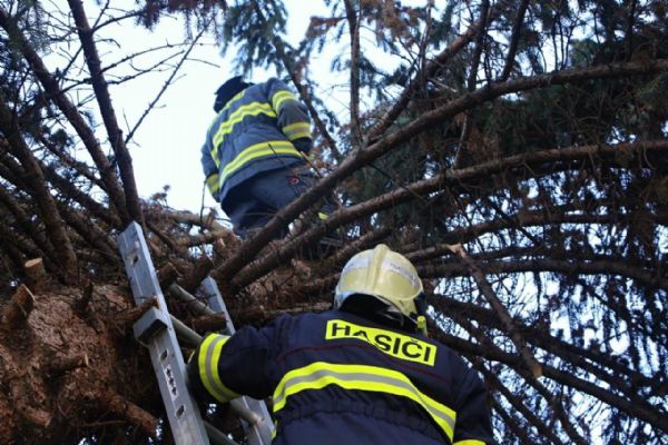 Zásah hasičských jednotek u 17 událostí způsobených silným větrem