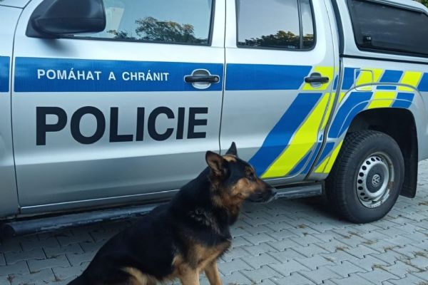 Kolová: Seniorka se ztratila při hledání hub Kolová: Seniorka se ztratila při hledání hub