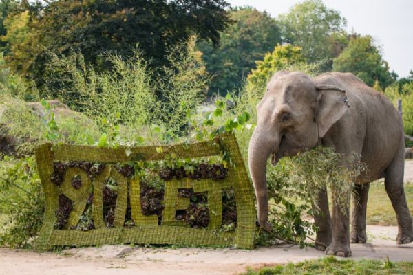 Zoo Praha oslavila 90. výročí svého založení